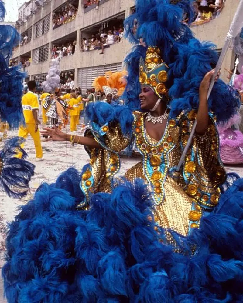 Carnaval Camelotte